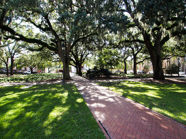 Calhoun Square in Savannah, GA. 